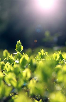 瑞馬燃?xì)獗趻鞝t，滿足您的溫暖22