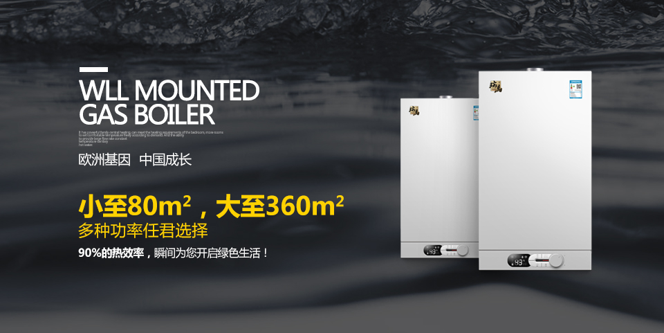 瑞馬A系列燃?xì)獗趻鞝t簡介 瑞馬A系列燃?xì)獗趻鞝t簡介